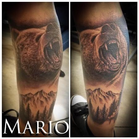 Mario Padilla - Grizzly Bear